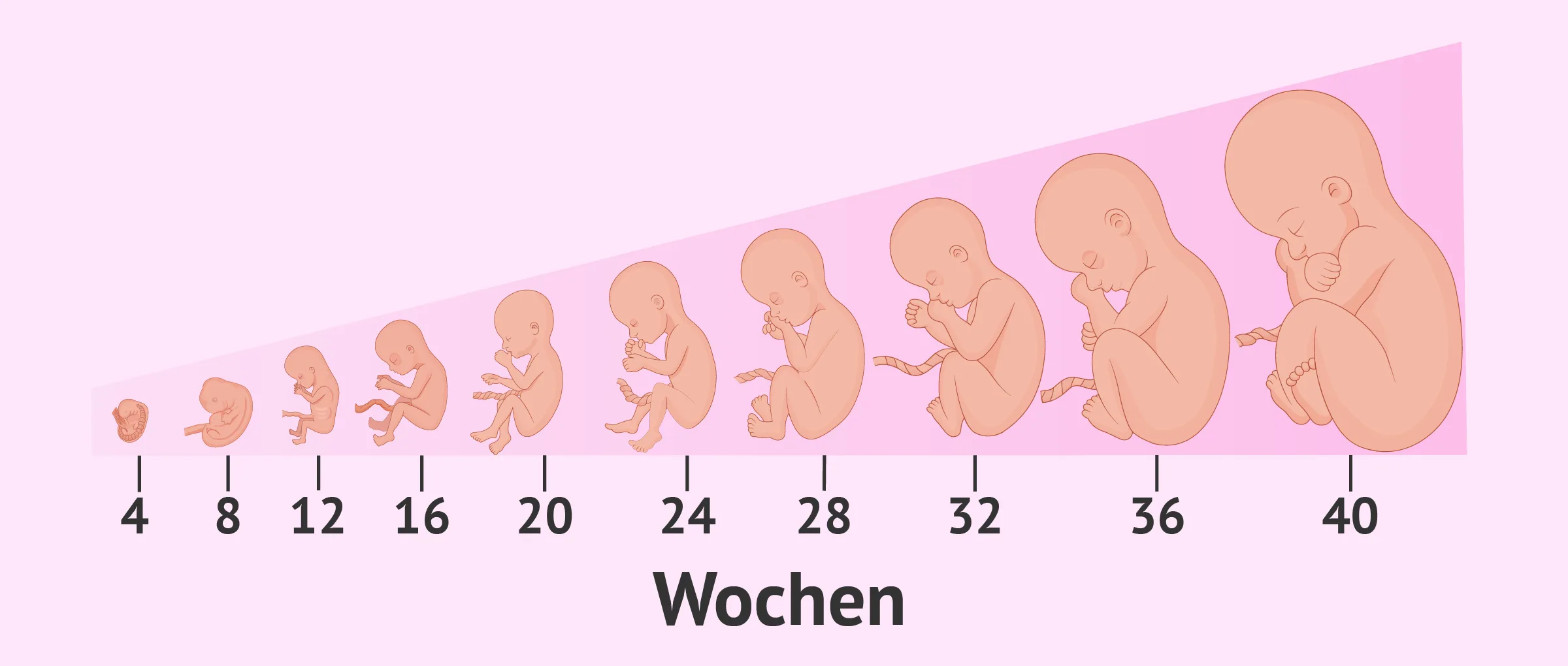 Die outlet Familienplanung kann hier beginnen!